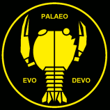 Palaeo-Evo-Devo