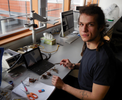 Daniel Heimerl
