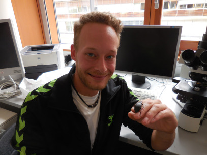 Timo Kolb
