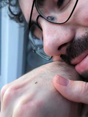 Jéhan Le Cadre